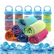 Sports Cooling Towel
