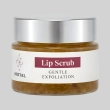 Lip Scrub - Pure Smooth Gentle Exfoliation with Natural Shell Particles - 15ml
