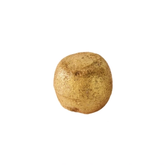 العناية بالجسم